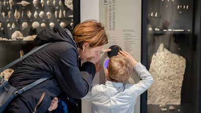 Visite a-musée-vous “Panique au Mésozoïque” au musée du Vin de Champagne et d'Archéologie Régionale à Epernay