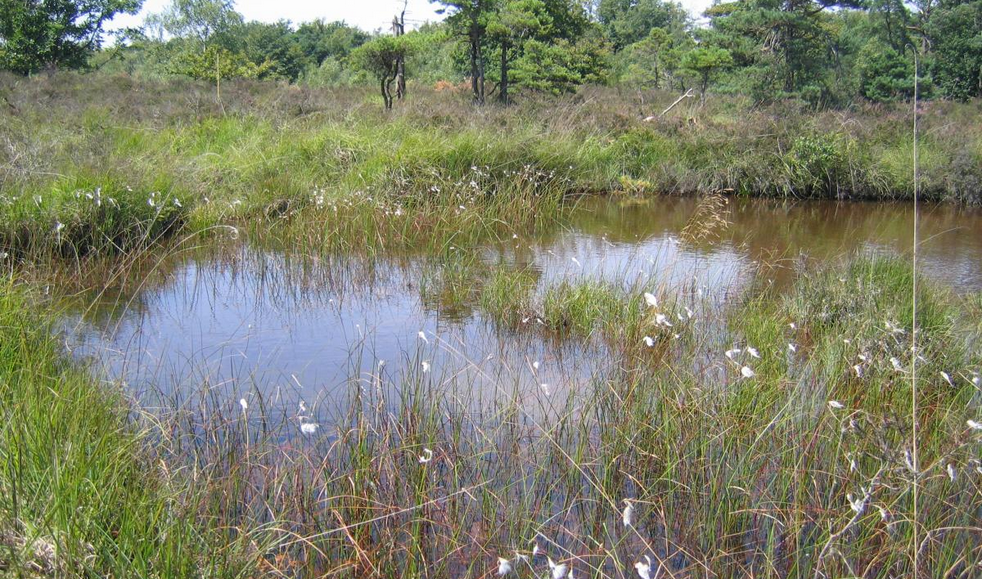 La réserve naturelle du Pâtis d'Oger et du Mesnil-sur-Oger fête ses 20 ans 