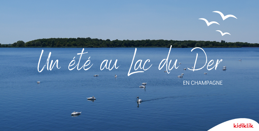 Escapades au Lac du Der et alentours : plein d'idées de sorties pour cet été pour les familles !