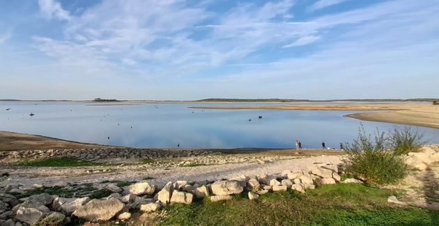 Automne/Hiver : les idées de sorties en famille au Lac du Der, Vitry-le François et Saint-Dizier