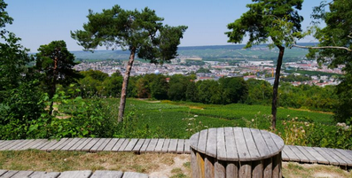 Le parc du Mont Bernon à découvrir en famille // Epernay