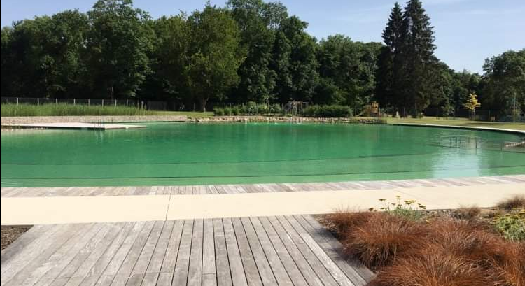 Piscine biologique du parc du château de Connantre // Marne