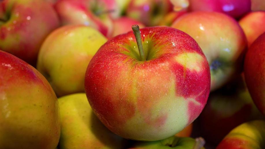 Fête de la pomme à Géraudot (10)