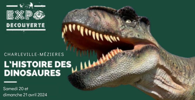 Exposition découverte : l'histoire des Dinosaures à Charleville-Mézières