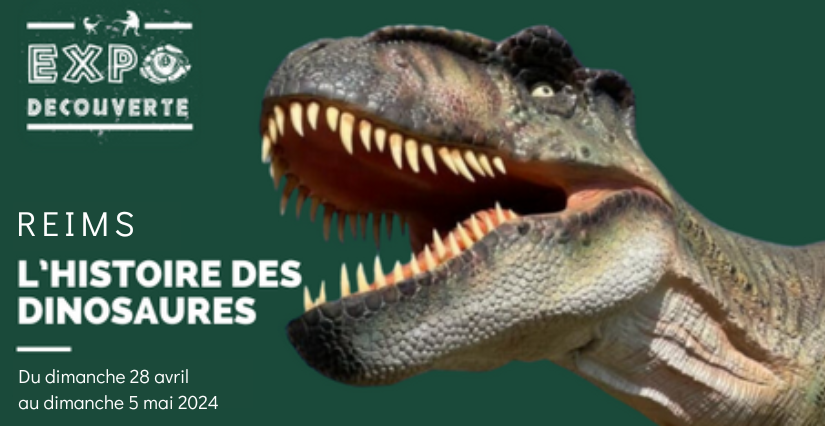 Expo découverte : l'histoire des Dinosaures à Reims