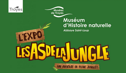 Les As de la Jungle, l’Expo au Muséum d’Histoire Naturelle de Troyes