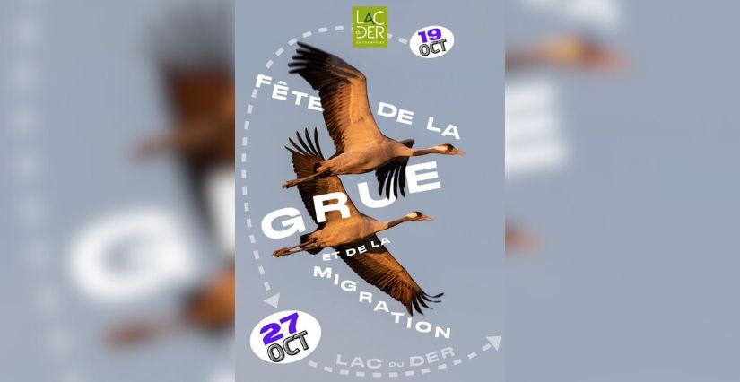 Fête de la grue et de la migration - les animations pour les familles au Lac du Der et alentours