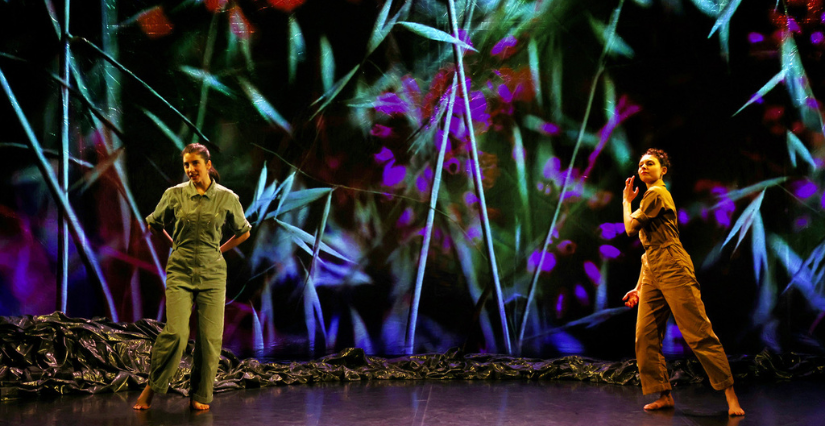 "Le chemin du wombat au nez poilu", spectacle de danse et vidéo au Cirque du Manège de Reims