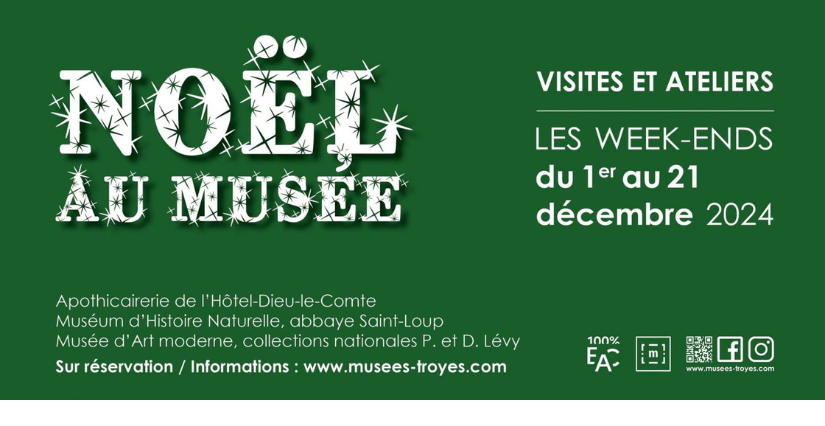 "1,2,3 Banquise !", visite-atelier au Muséum d’Histoire naturelle – Abbaye Saint-Loup, Troyes