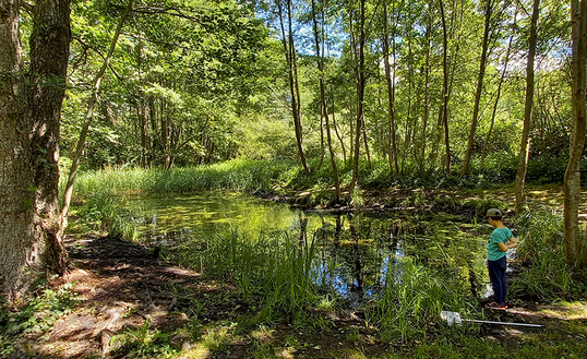 Sortie nature à Neuville-sur-Ailette : « Les dents de la mare »
