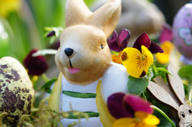 Pars à la quête de ton animal Totem à la Ferme des Iriselles de Jonchery-sur-Vesle