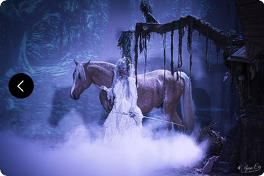 Le Mystère du Triskell - spectacle équestre à Muizon