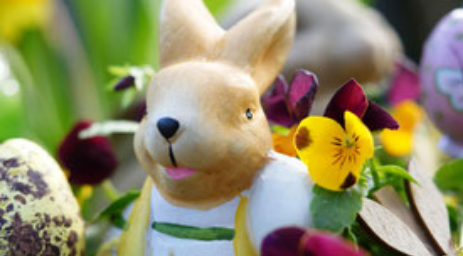 Pars à la quête de ton animal Totem à la Ferme des Iriselles de Jonchery-sur-Vesle