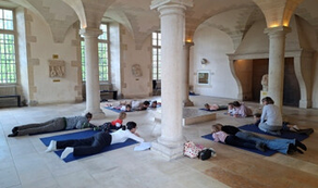 Atelier : Postures animales (2 séances) au Musée Saint-Remi de Reims