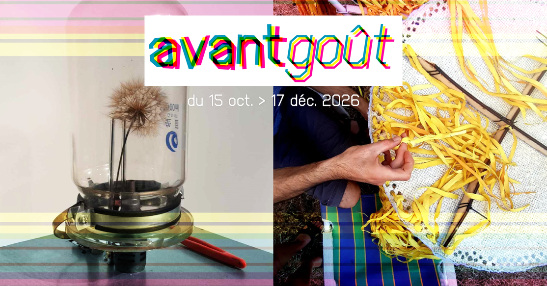 "JOIE " exposition AvantGoût à SaintEx, Culture Numérique Reims