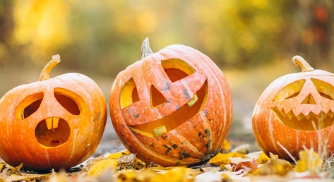 Animations d'Halloween à l'Espace Odysselec EDF de Nogent-sur-Seine