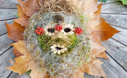 Atelier « Masques d’automne » au Château de La Motte-Tilly