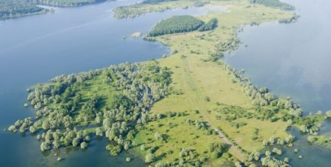 Parc naturel régional de la Forêt d'Orient // Balades incontournables en famille // Aube