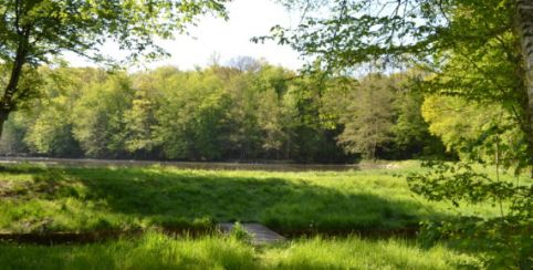 Balades pédestres et VTT en forêt d'Argonne à Sainte-Ménehould