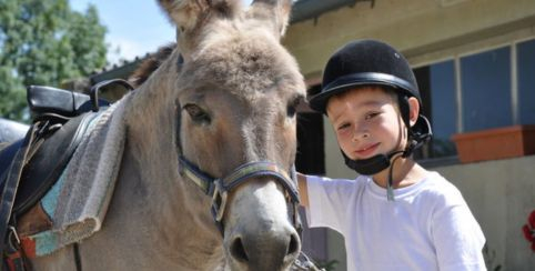 Champ'ânes Balade avec un âne en famille à côté du Lac du Der