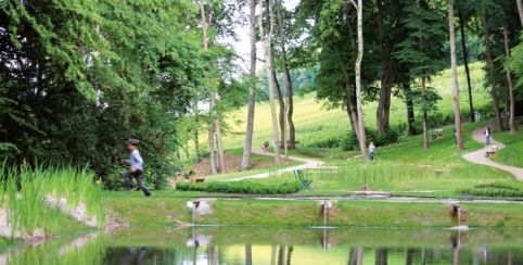 Parc Vix - Une balade entre forêt et vignoble à Avize