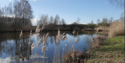 Les Marais de Saint-Gond Balades et randonnées dans la Marne