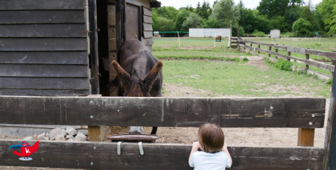 Ferme Pédagogique de la Béchère de Romilly-sur-Seine