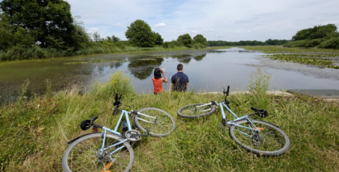 Balade en famille autour des étangs d'Outines à côté du Lac du Der 