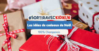 Idées cadeaux 100% CHAMPENOIS pour Noël