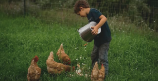 Stage MINI FERMIERS pour les enfants de 3 à 12 ans à la Ferme Pédagogique des Iriselles de Jonchery-sur-Vesle