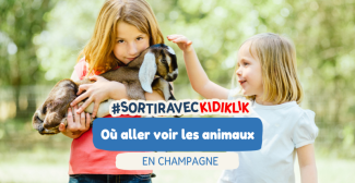 Où aller voir des animaux avec les enfants en Champagne?