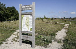Arboretum et parcours pédagogique - balade en famille à Blancs-Côteaux (Vertus)
