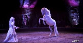 Le Mystère du Triskell - spectacle équestre à Muizon