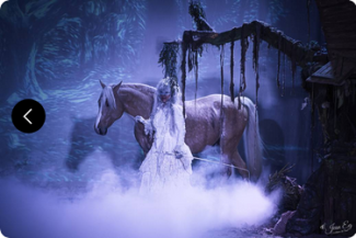 Le Mystère du Triskell - spectacle équestre à Muizon