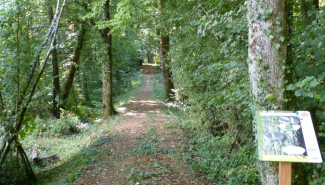Arboretum et sentier forestier pédagogique - balade en famille à Blancs-Côteaux (Vertus)