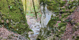 Les Gorges de la Vingeanne - balade nature en famille à Aprey (52)